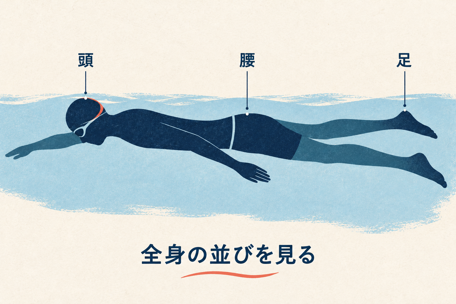 横から見た泳者。頭・腰・足の位置を示す