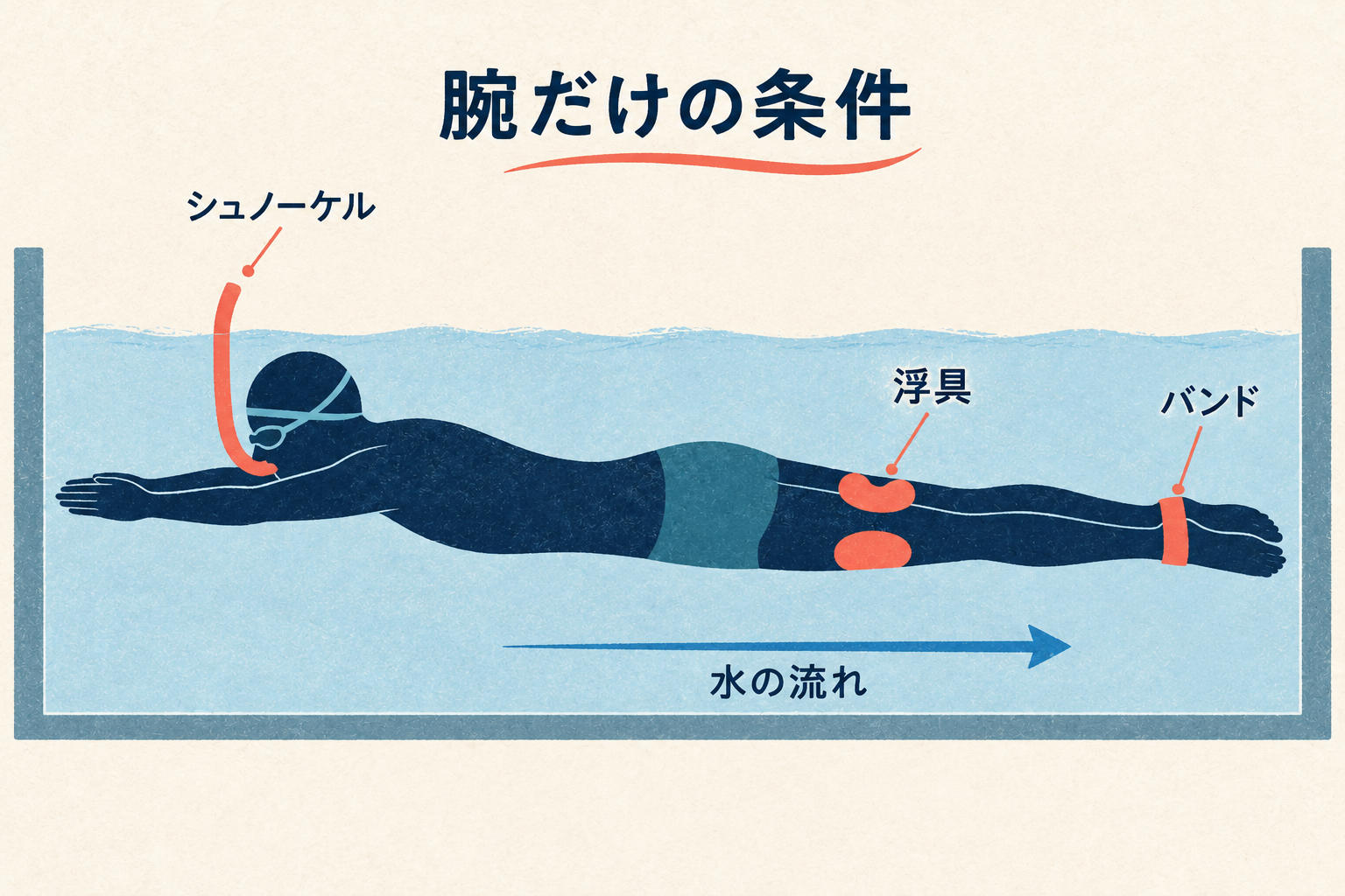 腕のみ条件の用具の位置。太腿の浮具、足首バンド、シュノーケル。水流は頭側から足側へ